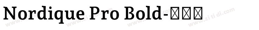 Nordique Pro Bold字体转换
